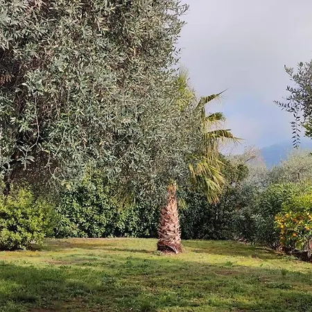 елена-villa Elena 1 Hébergement de vacances Skala Potamia (Thasos)